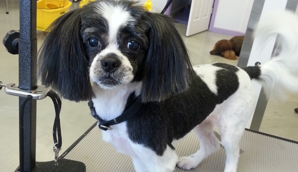 Adorable Dog Grooming - Hillsboro, MO