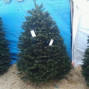 Tina's Trees - Christmas Trees