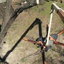 Garcia's Lawn and Tree Care - Landscaping & Lawn Services