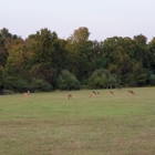 Hunterdon Developmental Center