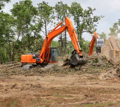 Jackson Tree Services - Mudgeeraba, QLD