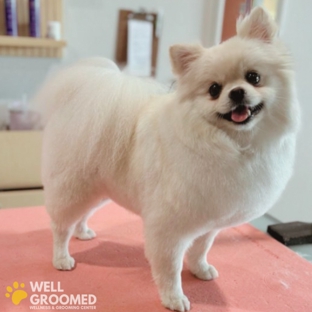 Well Groomed Pets - Raleigh - Raleigh, NC