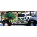 Kevin's Tree & Landscaping - Stump Removal & Grinding