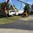 ACME Tree Service - Tree Service