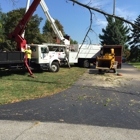 ACME Tree Service