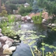 Peaceful Falls