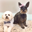 Bark Avenue Pet Spa & Boutique - Pet Services