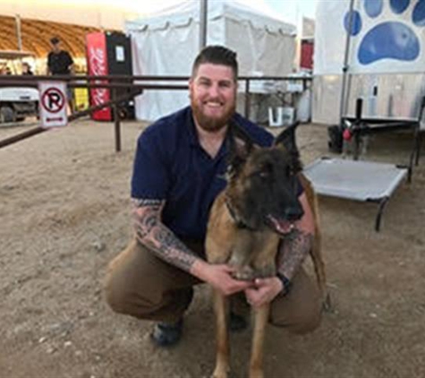 Dog Training Elite - Queen Creek, AZ