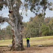 Gallery Image Number 7