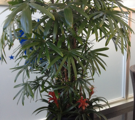 Interior Plantings Inc - Bayville, NY