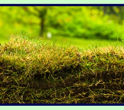 Ipswich Turf Supplies - Coominya, QLD. Other Varieties Of Turf Available