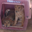 Caring For Canines - Veterinary Specialty Services