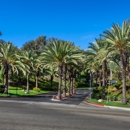 Sunset View Apartments - Apartments