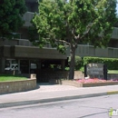 Castlemont Arms Apartments - Apartments