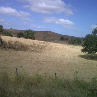 Olompali State Historic Park - Novato, CA