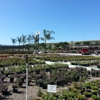 Evergreen Nursery gallery