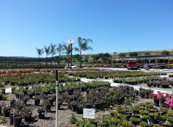 Evergreen Nursery - Oceanside, CA