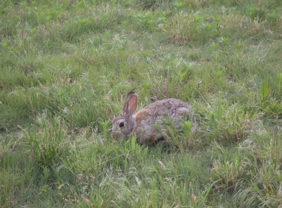 Berrys Animal and Pest Control - Denver, CO