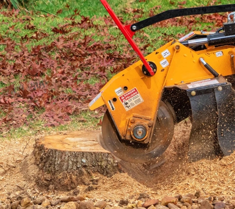 Affordable Stump Grinding - Elanora, QLD