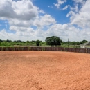 Flying Ace Ranch - Stables