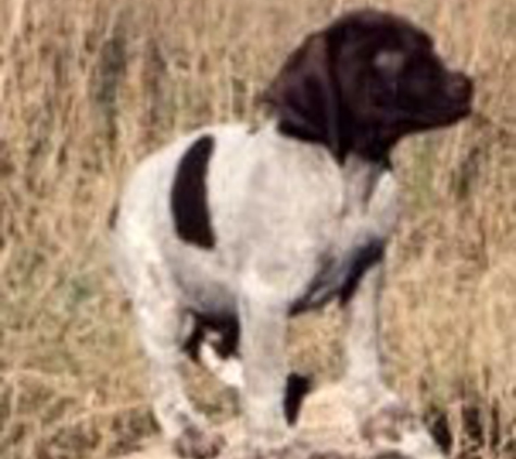 Rainbow Kennels - Braham, MN