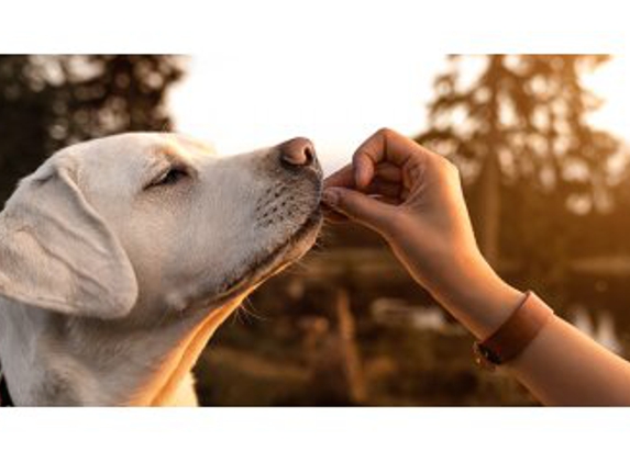 Top Dog Food & Supply - Stratford, CT