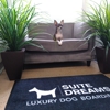 Suite Dreams Luxury Dog Boarding gallery