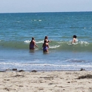 New Brighton State Beach - Tourist Information & Attractions