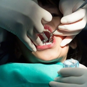 Gallery Image Number 5