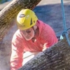 Jackson Tree Service gallery