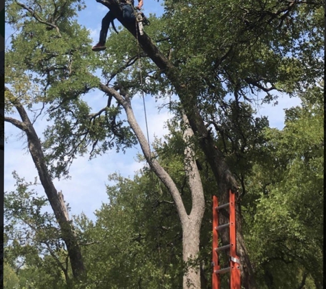 Texas Tree Transformations LLC - Dallas, TX