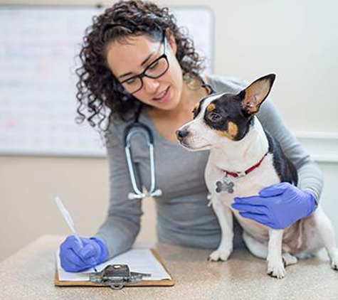 PETCARE Animal Hospital - South Jordan, UT