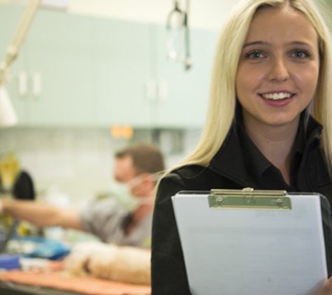 Peninsula Vet Care - Rye, VIC