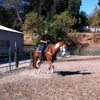 A Partner For Life Horsemanship gallery