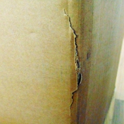 Gallery Image Number 5