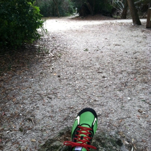 Emerson Point Preserve - Palmetto, FL