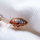 Jackson Mosquito Control - Pest Control Equipment & Supplies