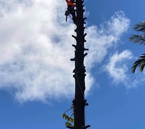 Speedline Tree Surgery