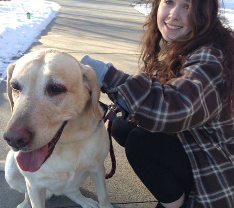 Happy Paws Cats and Dogs - Fort Collins, CO