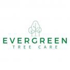 Evergreen Tree Care