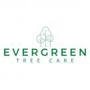 Evergreen Tree Care