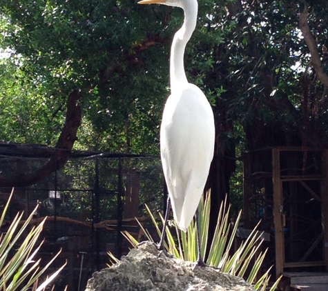 Florida Keys Wild Bird Rehabilitation Center - Tavernier, FL