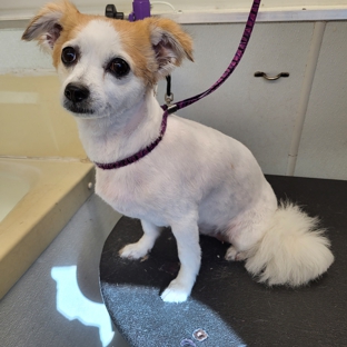 Clipper Wagon Mobile Pet Grooming - waco, TX. Hope