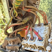 Gallery Image Number 3