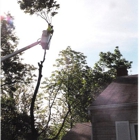 Cincinnati Tree Care