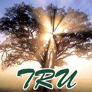 Trees "R" Us, Inc. - Stump Removal & Grinding
