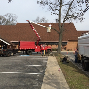Cornerstone Tree Service - Medford, NJ