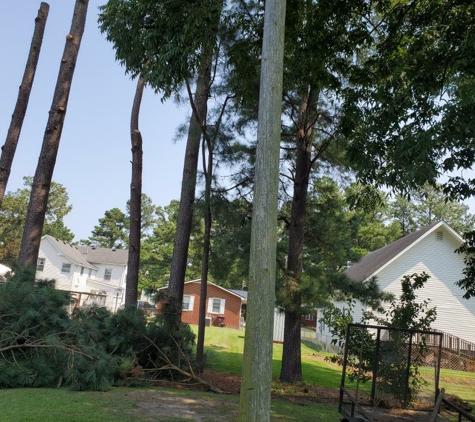 Phelps Tree Service Inc - Creswell, NC