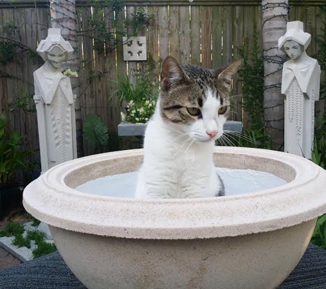 The Garden Fountain Store - New Orleans, LA