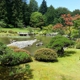 Japanese Gardens